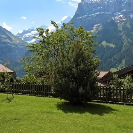 酒店 Chalet Stieregg, Ost 格林德瓦