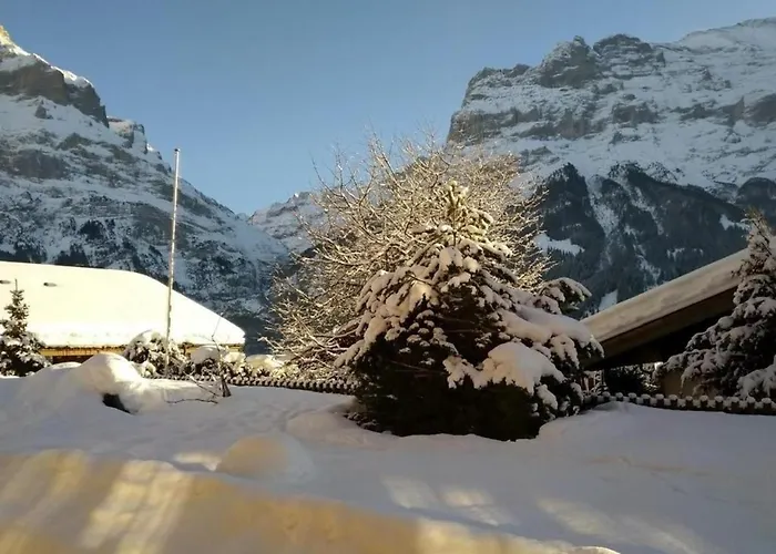 Szálloda Chalet Stieregg, Ost Grindelwald